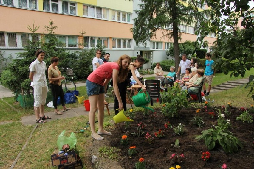 Mieszkańcy Teofilowa odnowili zaniedbany skalniak