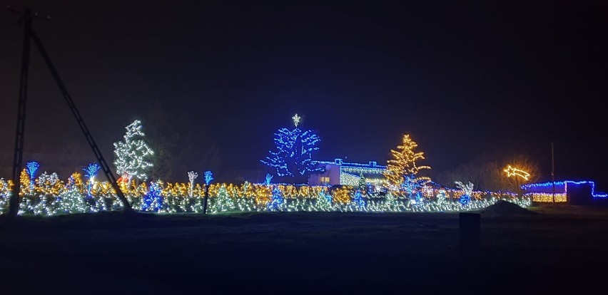 Świąteczna iluminacja w Maksymowie