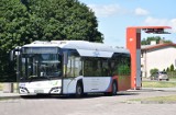 Malbork. Bezpłatna komunikacja jest dostępna dopiero od tygodnia, a pasażerowie już się skarżą, że autobusami jeżdżą osoby bezdomne