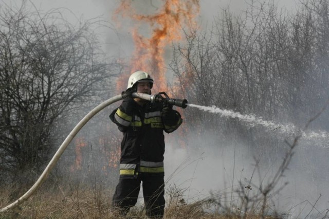 Pożar lasu w Piaśnicy
