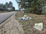 Wiosenny krajobraz w gminie Kolno. Śmieci porzucone w lasach i przydrożnych rowach nie są wcale rzadkością