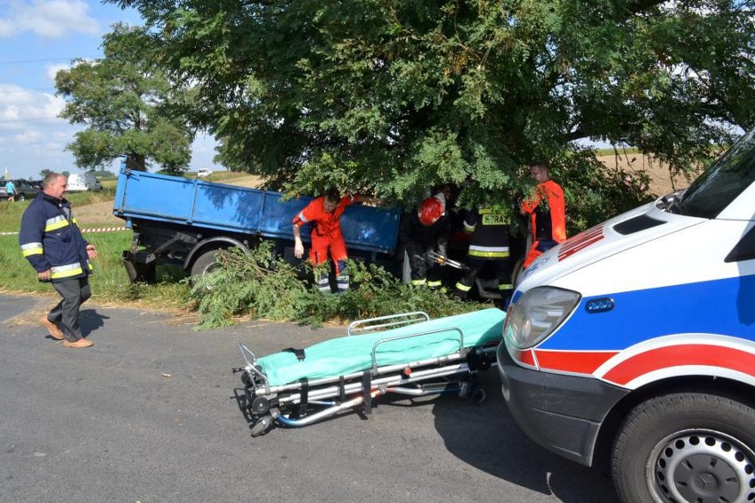 Wypadek w Sulisławiu. Bus uderzył w drzewo