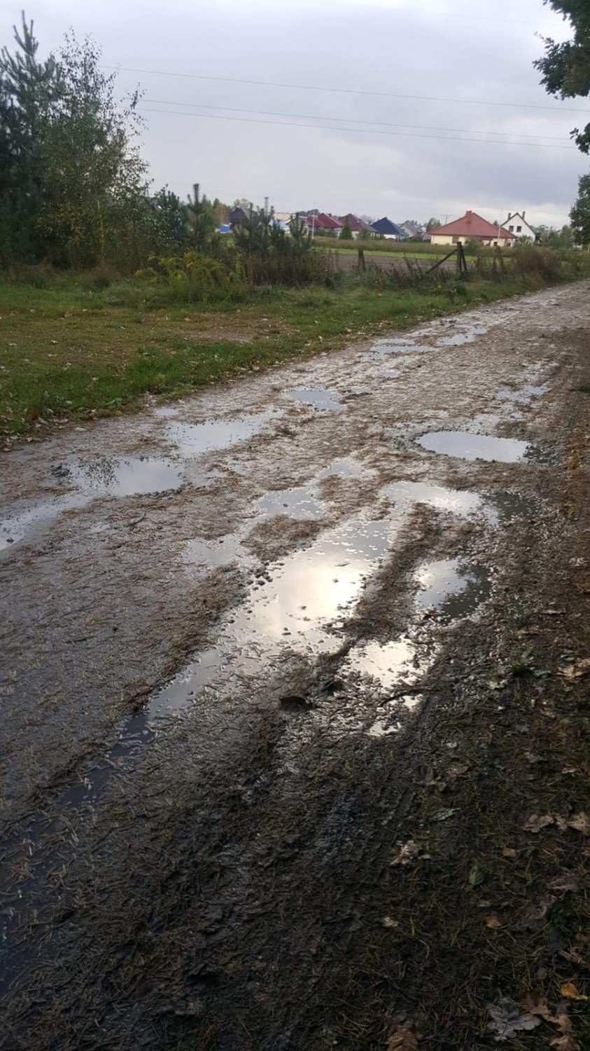 Gehenna mieszkańców ulicy Poziomkowej w Sycowie. Urzędnik twierdzi, że to ich wina