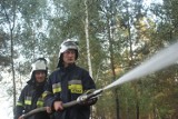 Wielki pożar pola i lasu w Brąszewicach [ZDJĘCIA]