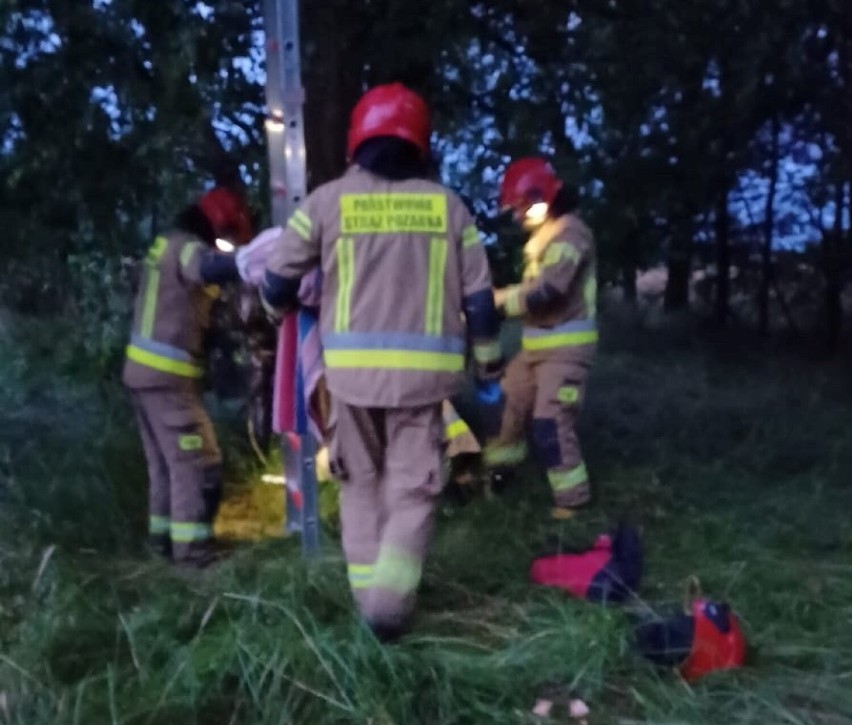 Mała sarenka wpadła do studni. Uratowali ją strażacy