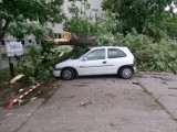 Silne wiatry w Toruniu. Strażacy interweniowali kilkadziesiąt razy [ZDJĘCIA]