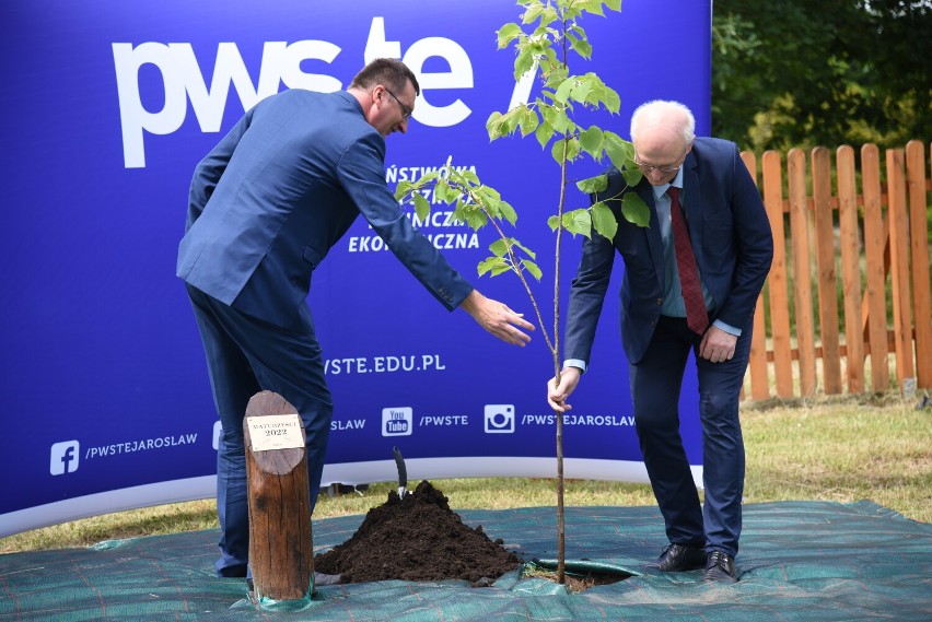 „Aleja Maturzystów”. Nowa tradycja na kampusie PWSTE w Jarosławiu [ZDJĘCIA]