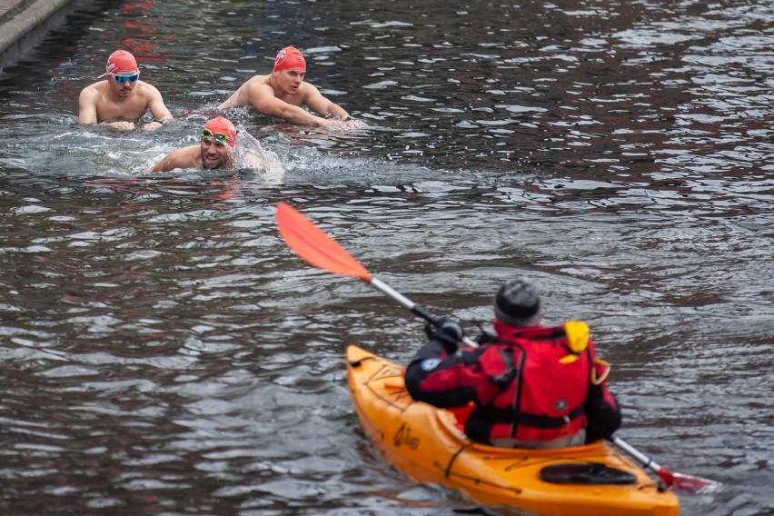 Ponad 200 pływaków rywalizowało w sobotę w Ice Swimming...