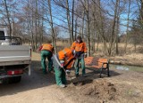 Nowe ławki ustawiono  nad zalewem przy ulicy Klonowej w Kielcach. Zobaczcie zdjęcia