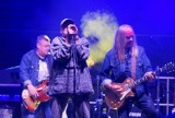 Gramy nad Prosną. Zespół JMS Band z Radomia laureatem festiwalu w Kaliszu. ZDJĘCIA