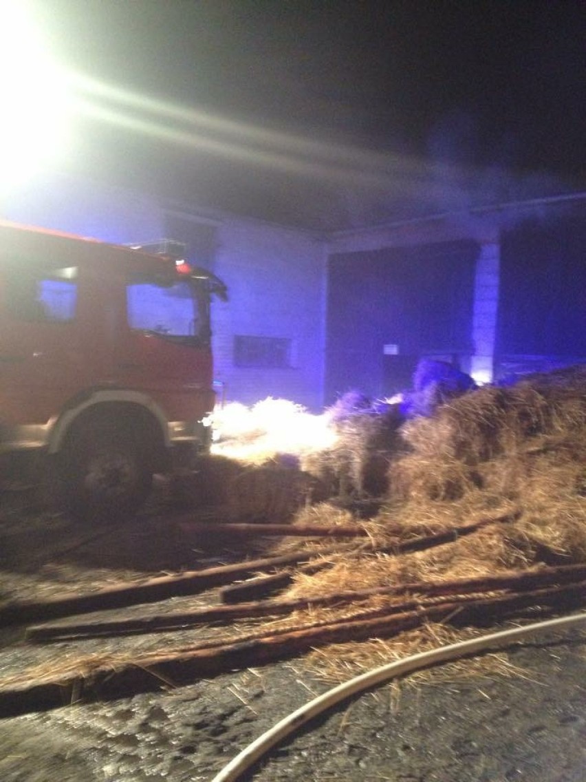 Pożary w Białachowie: Grasuje podpalacz?