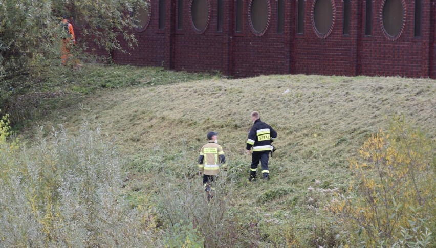 Nowy Sącz. Znaleziono ciało zaginionej sądeczanki