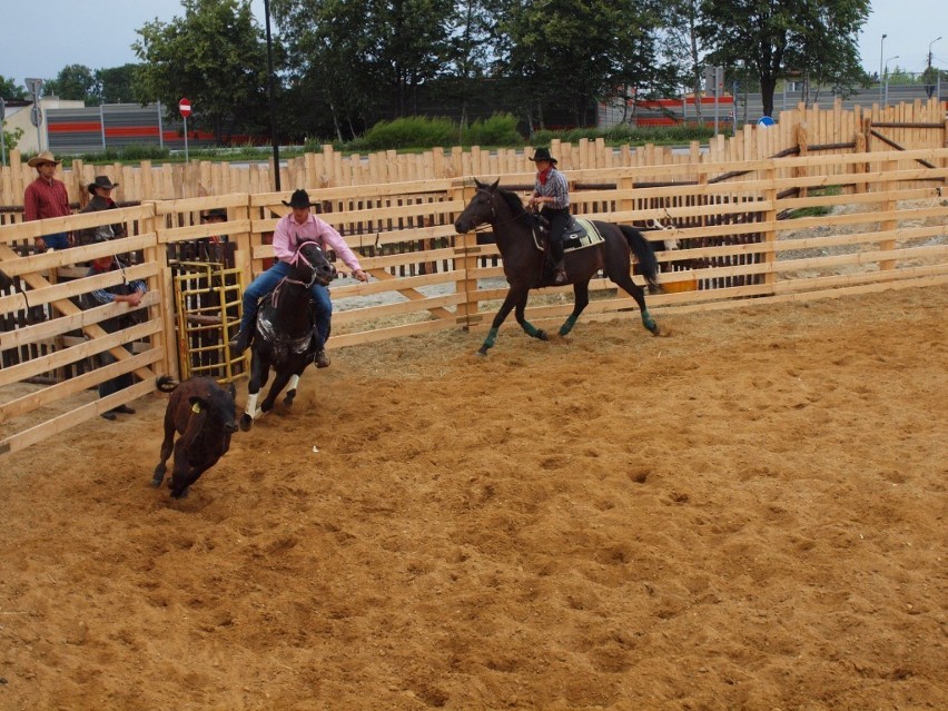 Żory western: Pokazy rodeo - Wild West Show. Zobacz zdjęcia!