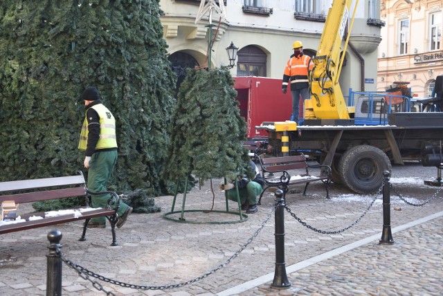 We wtorek 1 grudnia na placu Kazimierza montowano choinkę