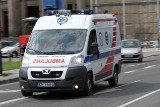 Kraków: wypadek na terenie Zootechniki. Mężczyznę poraził prąd