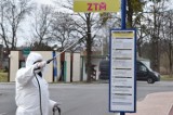 Dezynfekują przystanki autobusowe w Bobrownikach
