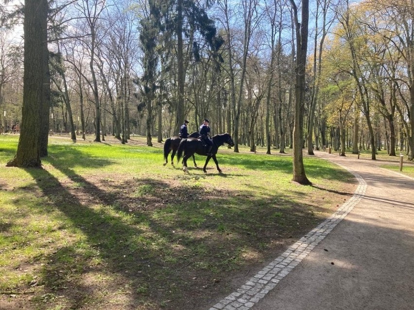 Konna policja w Goleniowie. Jeździli po parkach