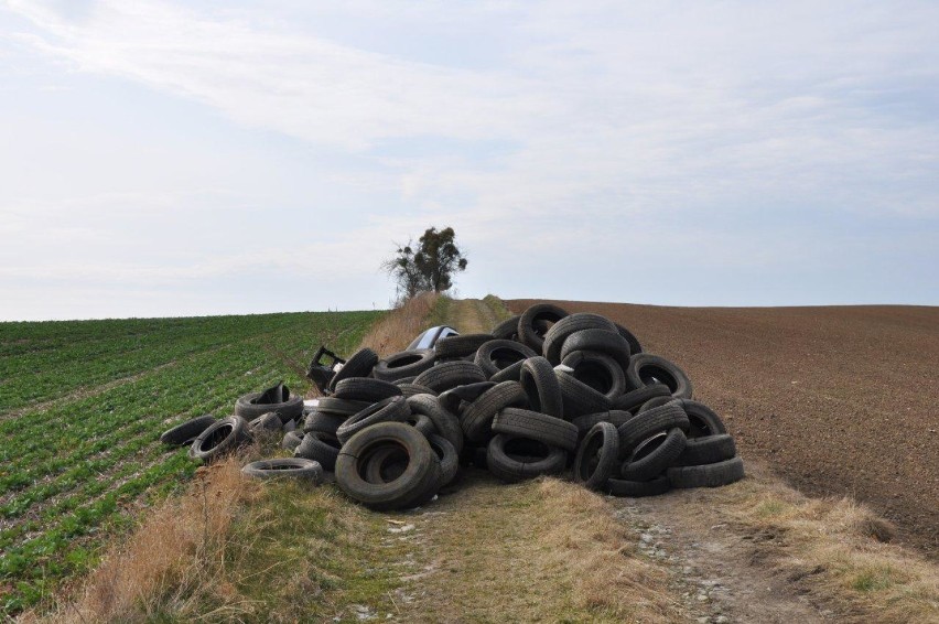 Dzikie wysypiska śmieci w gminie Dzierzgoń