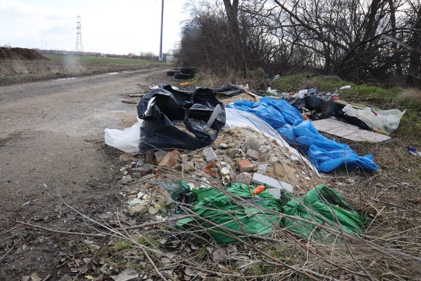 Dzikie wysypisko śmieci na ulicy Bobrowej w Legnicy, zobaczcie zdjęcia