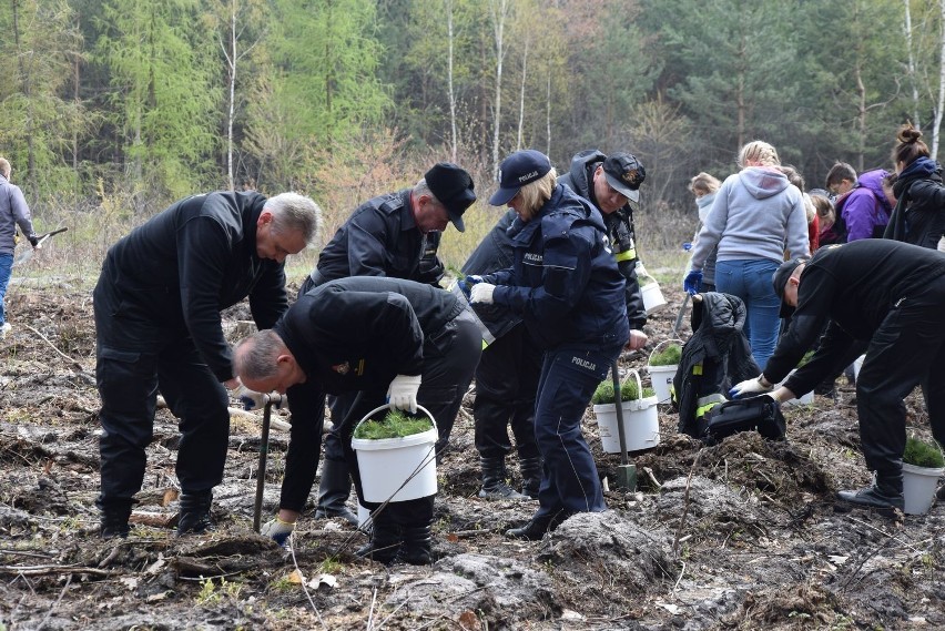 W minionych w Skierniewicach organizowano grupowe akcje...