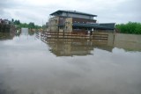 Opóźni się przyjazd żyraf do zamojskiego zoo. Wszystko przez ulewę