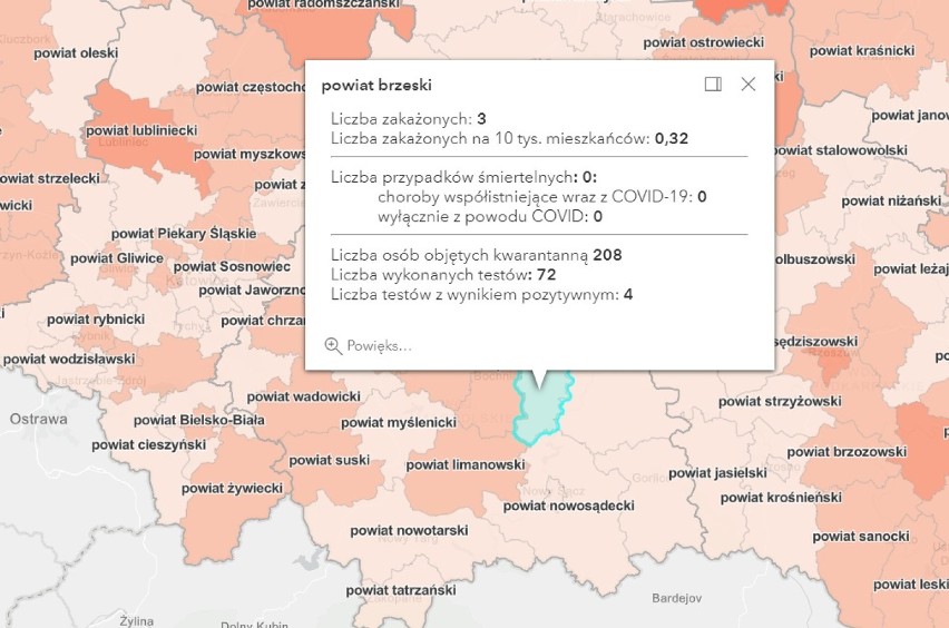 Koronawirus. Kolejne zakażenia SARS-Cov-2 w Tarnowie i powiatach: tarnowskim, brzeskim, bocheńskim i dąbrowskim [AKTUALIZACJA 24.01]