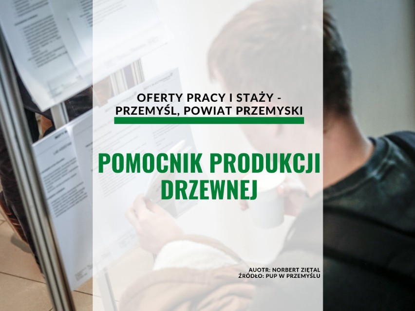 POMOCNIK PRODUKCJI DRZEWNEJ

Miejsce pracy: Korytniki
Umowa...