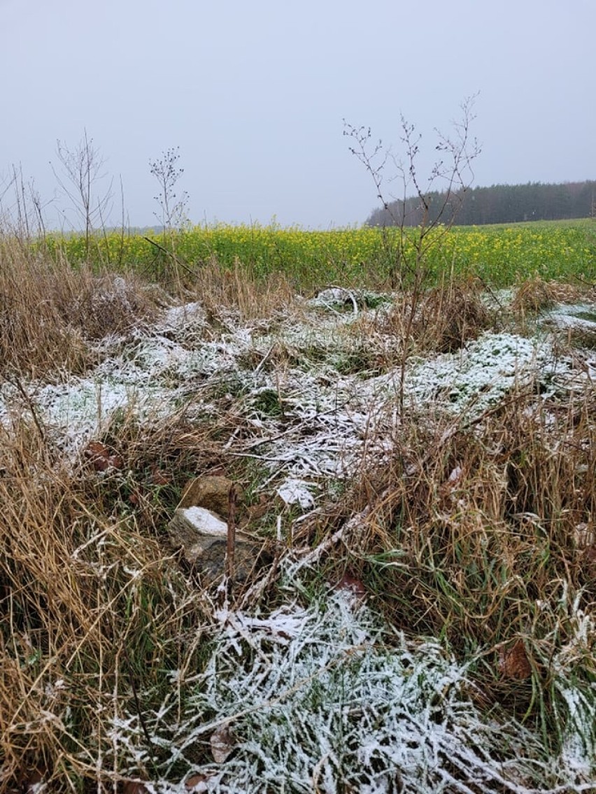 Pierwszy śnieg w Kościerzynie i okolicach 2021. Kierowcy się raczej nie cieszą [ZDJĘCIA]