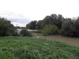 Powódź: Wisła w Puławach i Annopolu już opada (zdjęcia)
