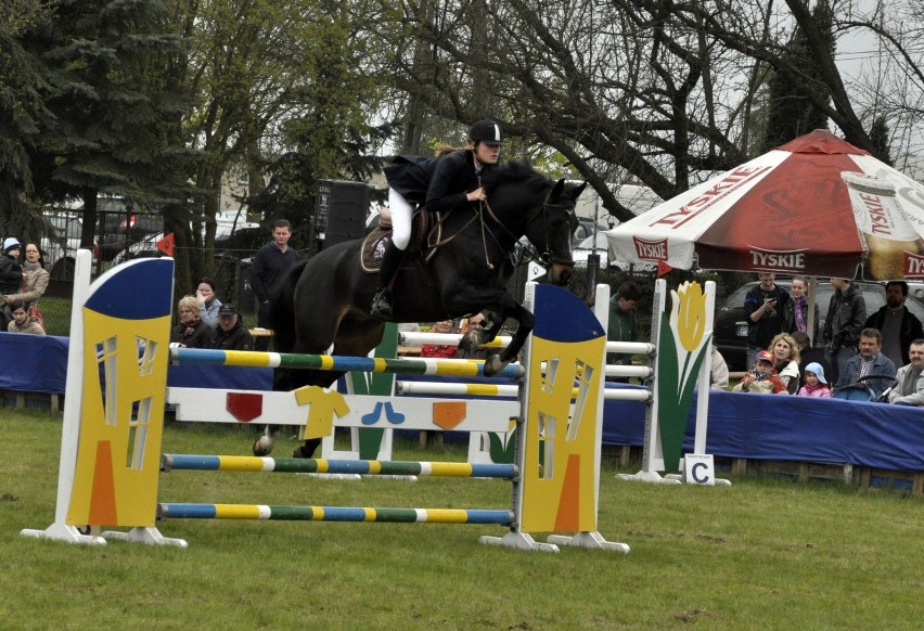 Grand Prix Tulipanów w Chrzypsku Wielkim