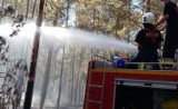 Potężny pożar lasu 30 kilometrów od Gubina. Niemieccy strażacy od kilku dni walczą z żywiołem