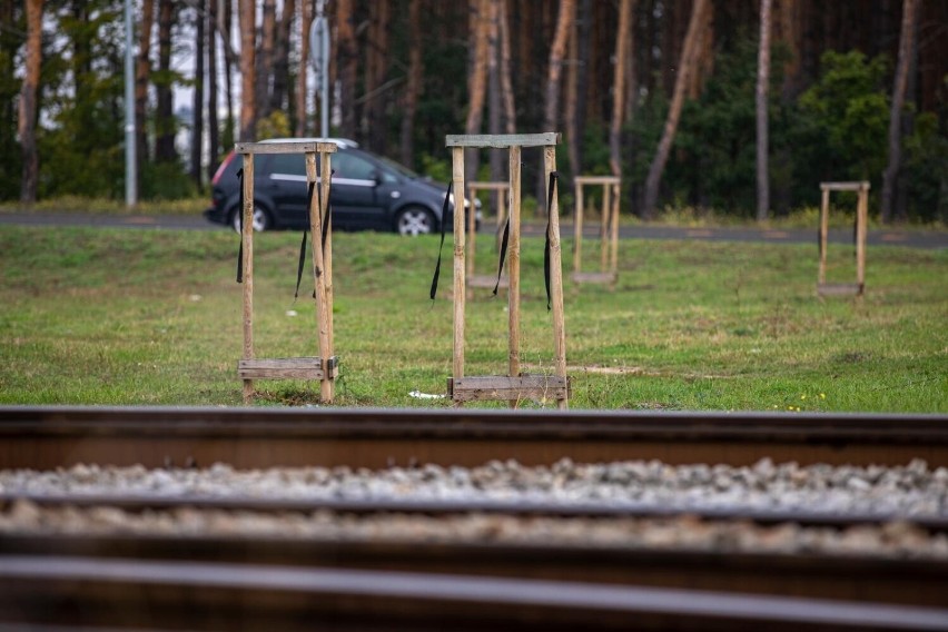 Bydgoszcz. Przy pętli Niepodległości w Fordonie miało być zielono. Kiedy będą tam drzewa?