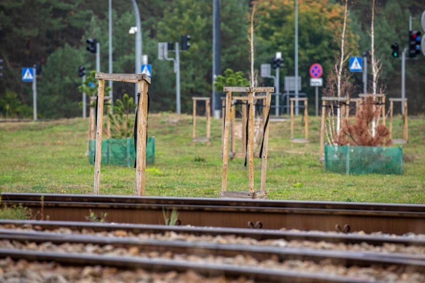 Bydgoszcz. Przy pętli Niepodległości w Fordonie miało być zielono. Kiedy będą tam drzewa?