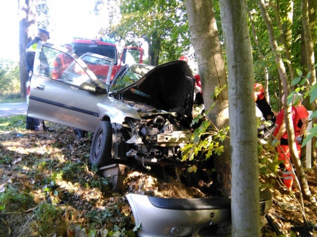 Opel wbił się w drzewo.