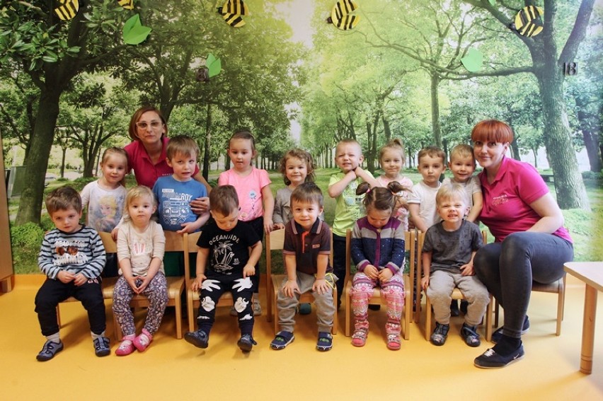 Przedszkole na medal. Grupa "Bees" z Akademii Happy Kids w Jeleniej Górze walczy o wasze głosy [ZDJĘCIA]