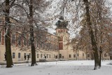 Łańcucki zamek i park w śnieżnej jesiennej odsłonie. Odwiedź rezydencję i skorzystaj z "Weekendu za pół ceny"