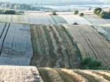 Dożynki odbywają się w wielu gminach. Czy w tym roku jest co świętować? Zapytaliśmy o to rolników