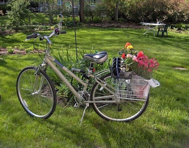 Źródło: http://commons.wikimedia.org/wiki/File:Bike_with_Flowers.jpg