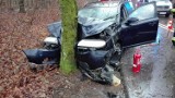 Wypadek w Mierzynie. Volvo uderzyło w drzewo |ZDJĘCIA