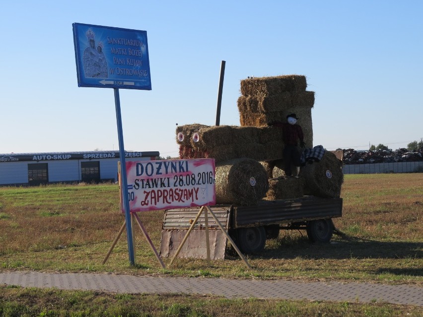 Miejscem tegorocznego Święta Plonów w gminie Aleksandrów...