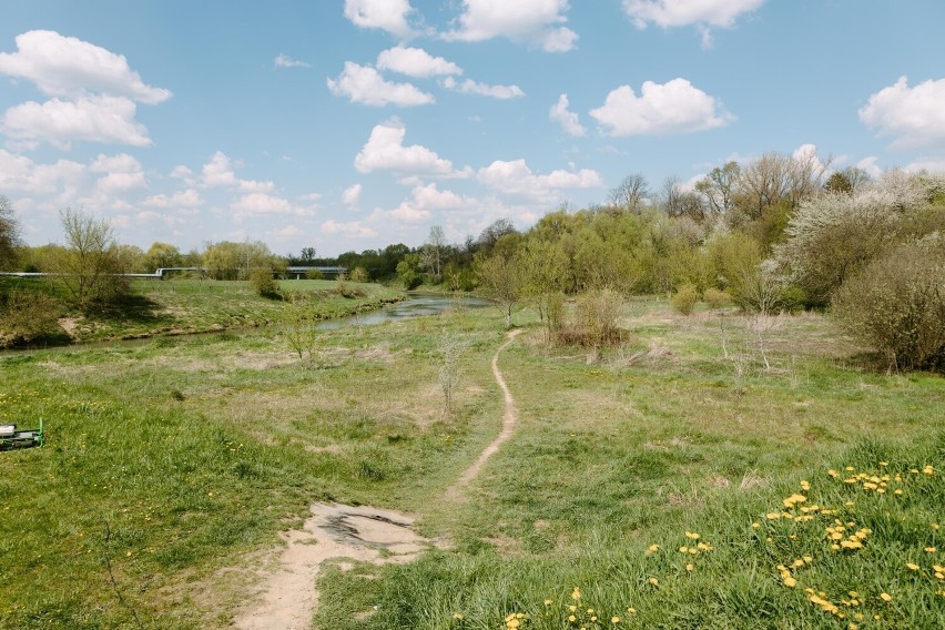 Rzeszów zbuduje Wisłokostradę. To pierwsze duże miasto w kraju, które otrzyma 30 mln zł z Rządowego Funduszu Rozwoju Dróg [ZDJĘCIA]