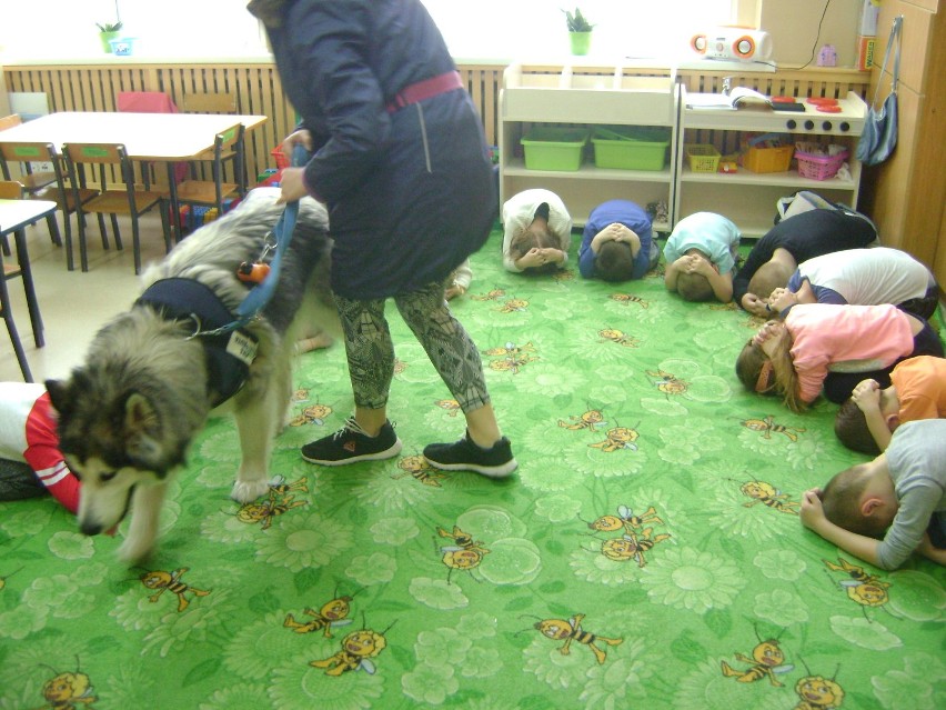 Przedszkolaki pomagają psom w azylu