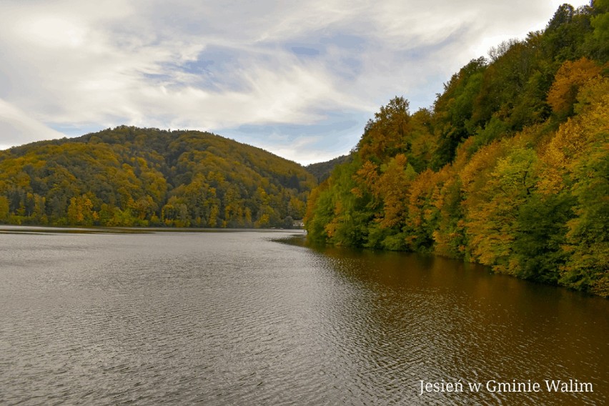 Wałbrzych. Jezioro Bystrzyckie pięknie malowane jesienią. Idealne na weekendowy spacer