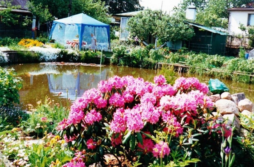 Ogród przy ul. Pasterskiej