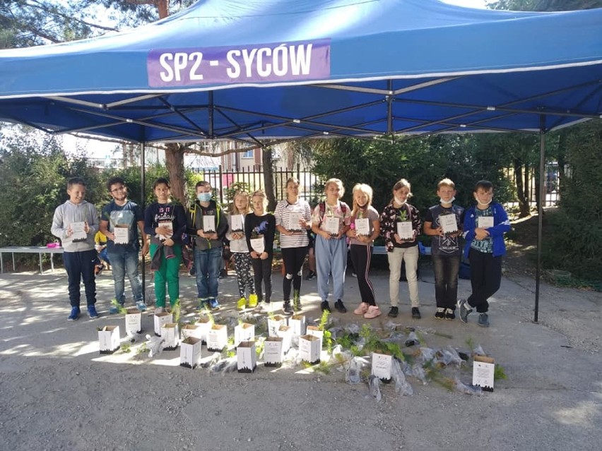 Uczniowie SP2 w Sycowie zaangażowali się w ogólnopolską akcję "SadziMY". Brawo!
