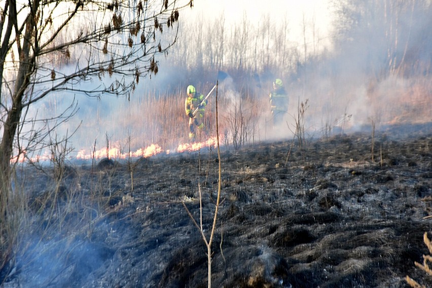 Z płonącymi trawami walczyli strażacy z OSP w Moszczenicy