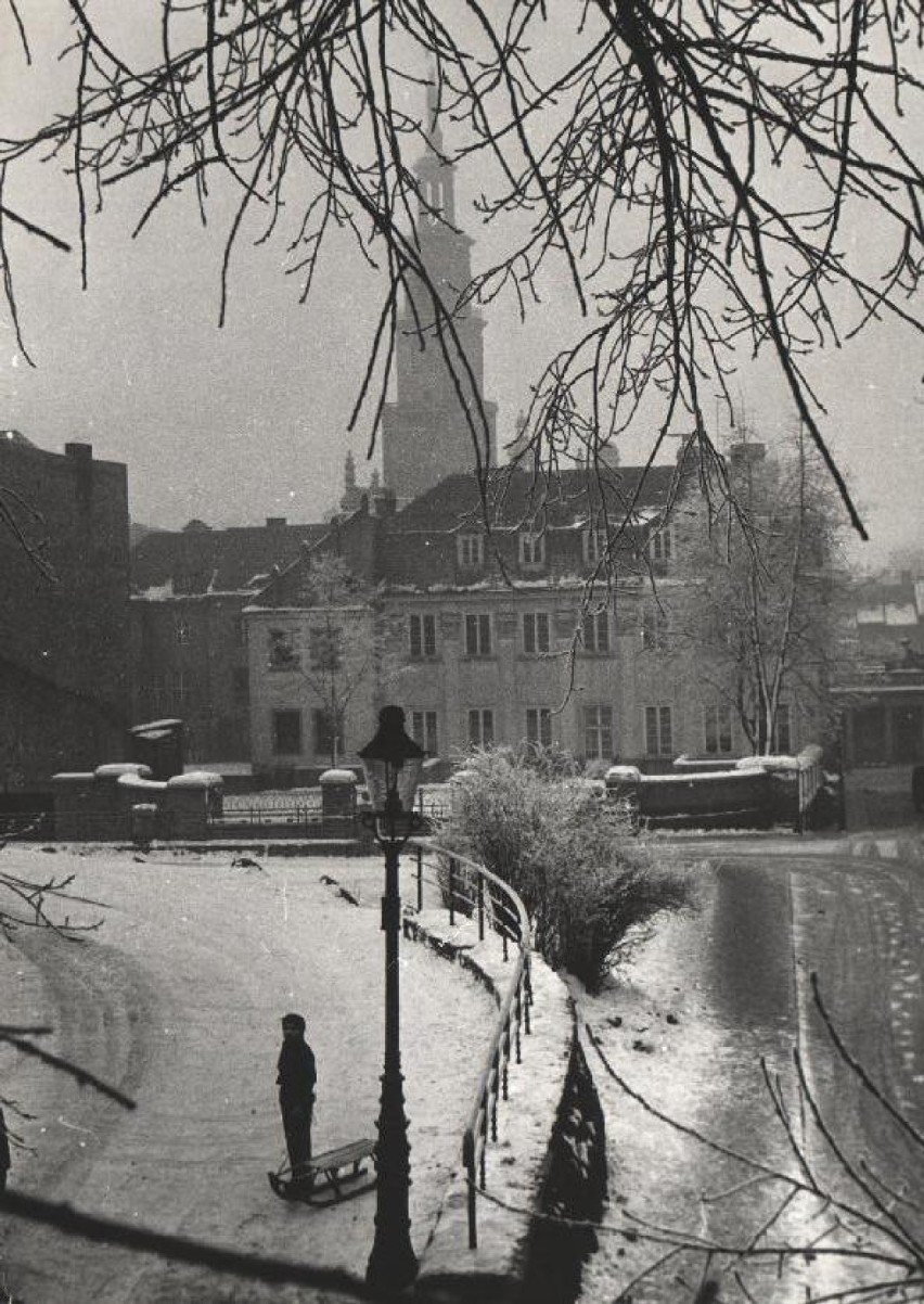 Poznań jak z obrazka - widok z Góry Przemysława