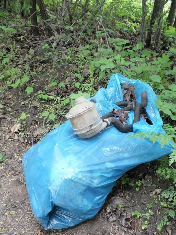 Komorniki: Mieszkańcy posprzątali las