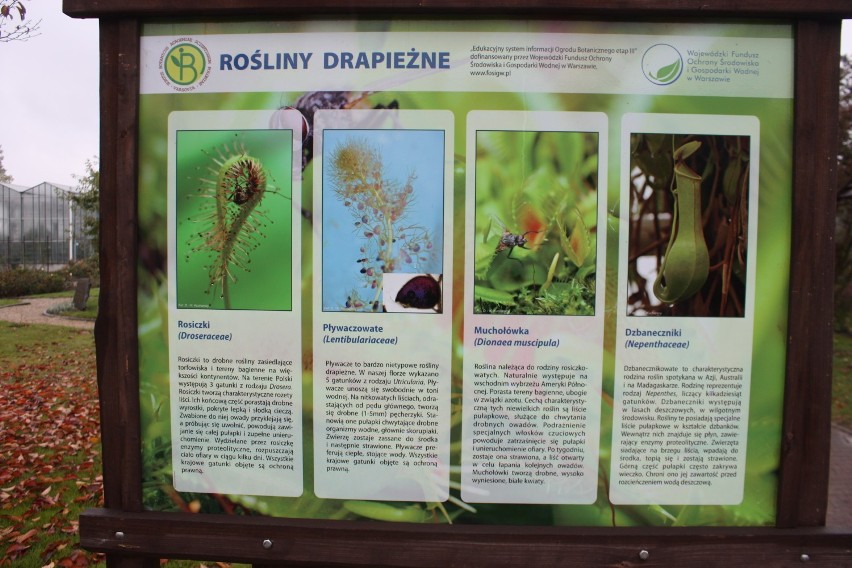 Kwidzynianie w Ogrodzie Botanicznym PAN