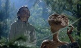 Tak wygląda dziś Henry Thomas, czyli Elliot z kultowego filmu "E.T." Zobaczcie zdjęcia!